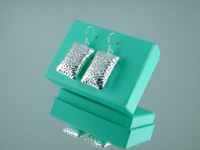 tiffany Earrings-123
